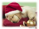 poze_haioase_funny_photos_07894020012284204914938358bc0bb1334720701