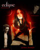 Eclipse-Movie-Poster-twilight-series-6684657-800-1000[1]