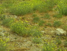 DSCN1669