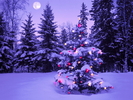 Christmas Wallpapers (386)