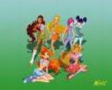 cele 6 fete winx club