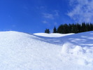 DSCF6923