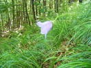 DSCF2003