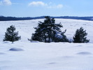 DSCF6912