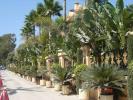 47 Marbella-Puento Banus