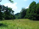 DSCF2652