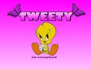 tweety7