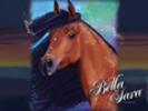 cavallo bellasara 6