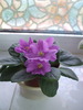 DSCF5826