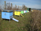 IMG_0008 (4)