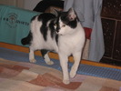 23 dec 2007 015