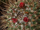 DSC02539