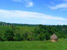 DSCF0620