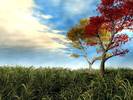 3d_landscape_wallpapers_4-1024x768[2]