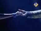 dulhann_0718_07_part_2030_0003