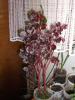 CIMG0064
