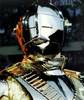 tour_history_knight