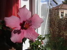 Picture 093