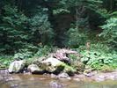 DSCF5059
