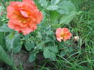 DSC09360