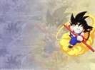 dragonball (19)