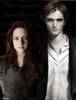 bella and edward