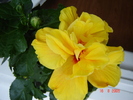 DSC02574