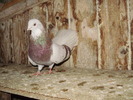 P9061611