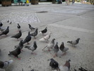 DSCN0103