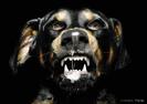 caine-rau_2