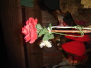 DSC00145