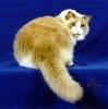 t_ragdoll01