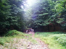 DSCF4871
