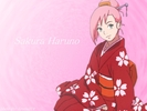 sakura-162857