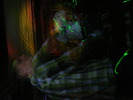 DSCF0208