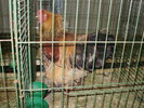 P8161837