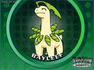 bayleef