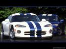 Viper1