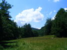 DSCF2648