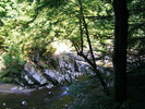DSCF5301