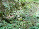 DSCF5290