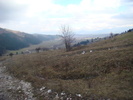 DSC04634