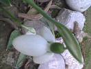 Imag067