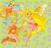 Stellawinx