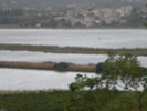 DSCN1574