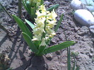 Imag007