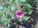 PICT0050