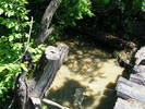 DSCF0986