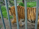 Picture 068