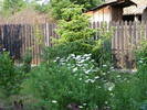 Minigradina